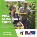 Obrazek dla: Prawa Przez cały rok Kampania informacyjna nt. praw pracowników sezonowych zatrudnianych na terenie UE